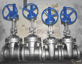 Alloy-20-Valves