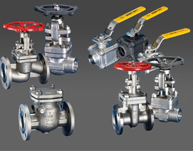 Stainless-Steel-Valves-supplier-mumbai-india